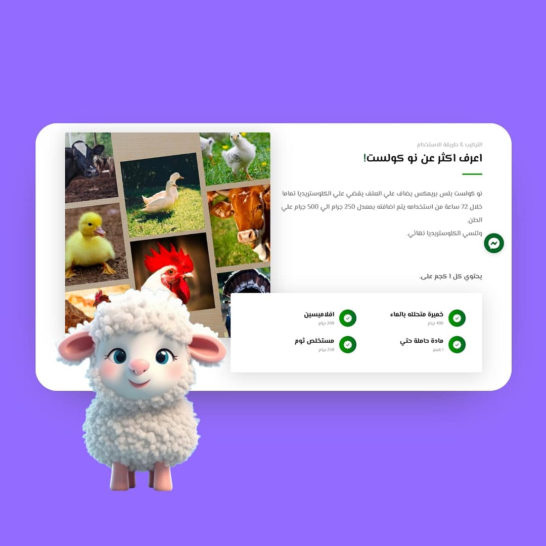 تصميم متجر الكتروني