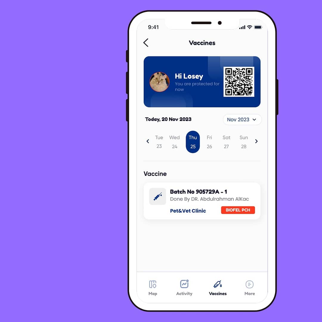 تطبيق انترنت الاشياء