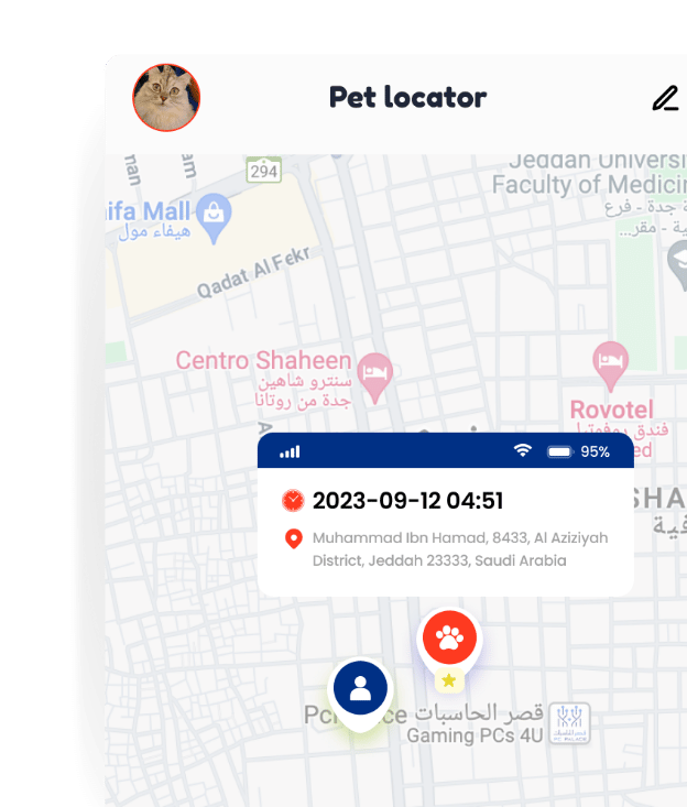 إنترنت الأشياء